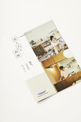 LOGOTYPE, WEB AND CATALOG DESIGN FOR TORAY