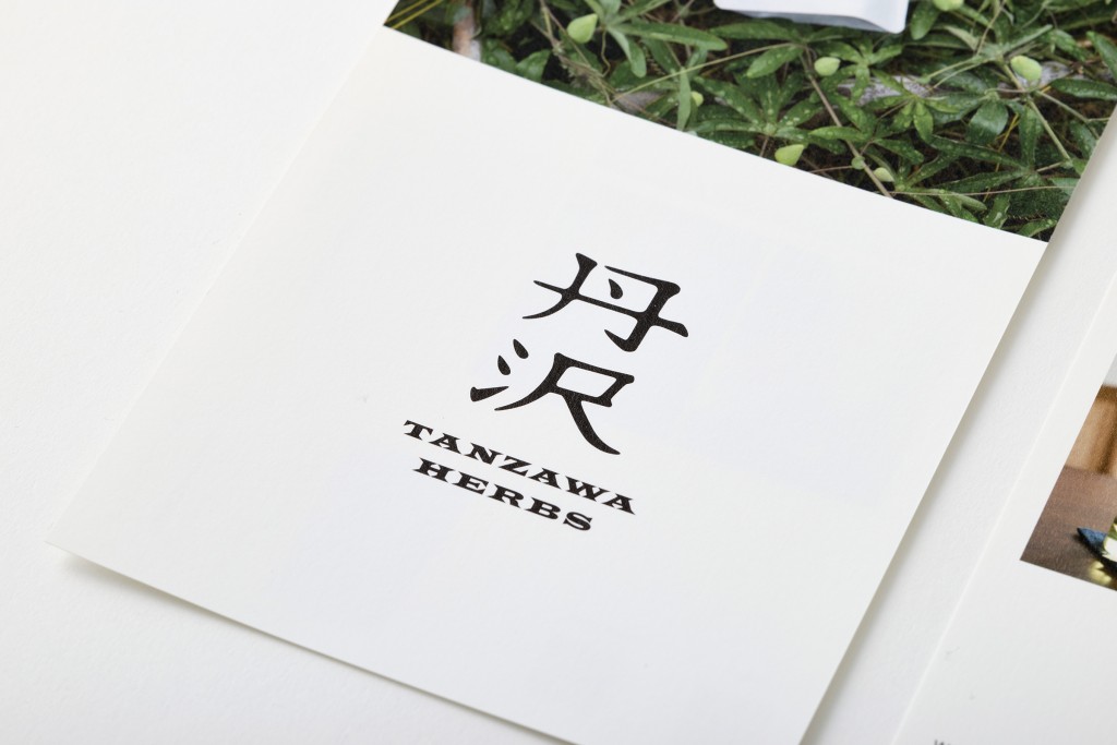 LOGOTYPE, WEB AND TOOLS FOR TANZAWA HERBS Other Image