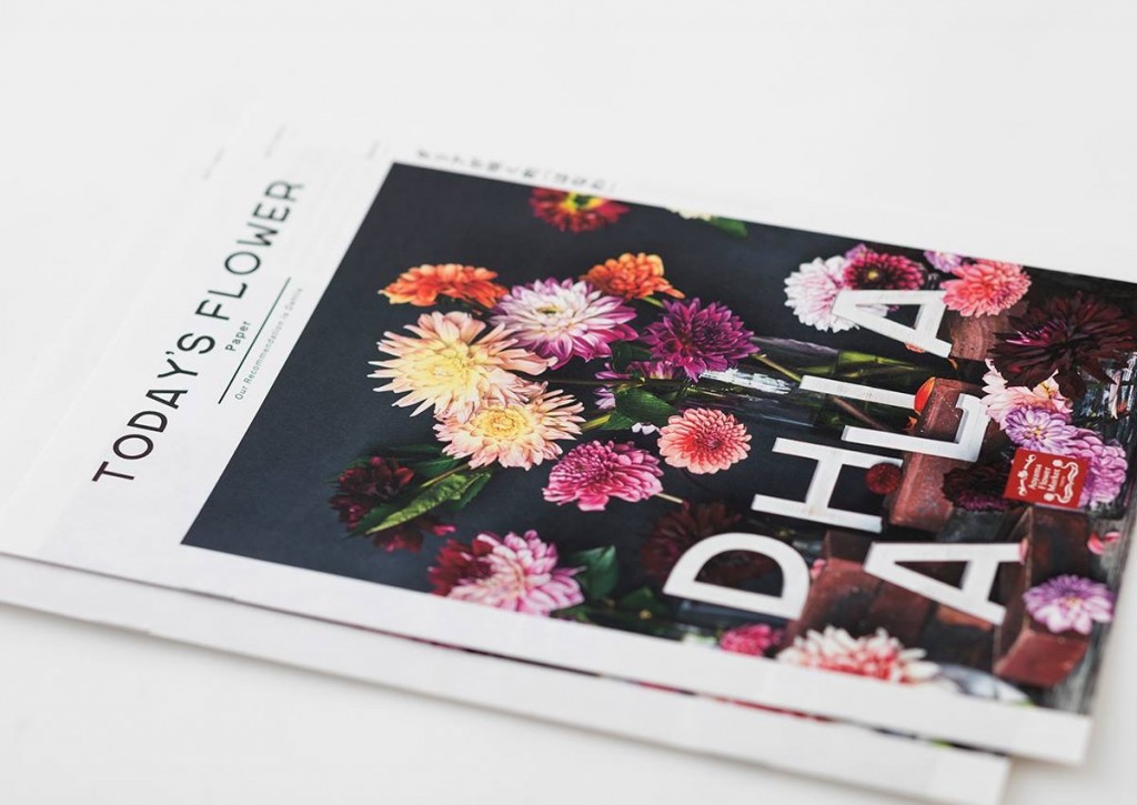 AFM TODAY’S FLOWER “DAHLIA”