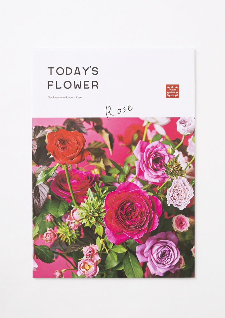 AFM TODAY’S FLOWER “Rose”