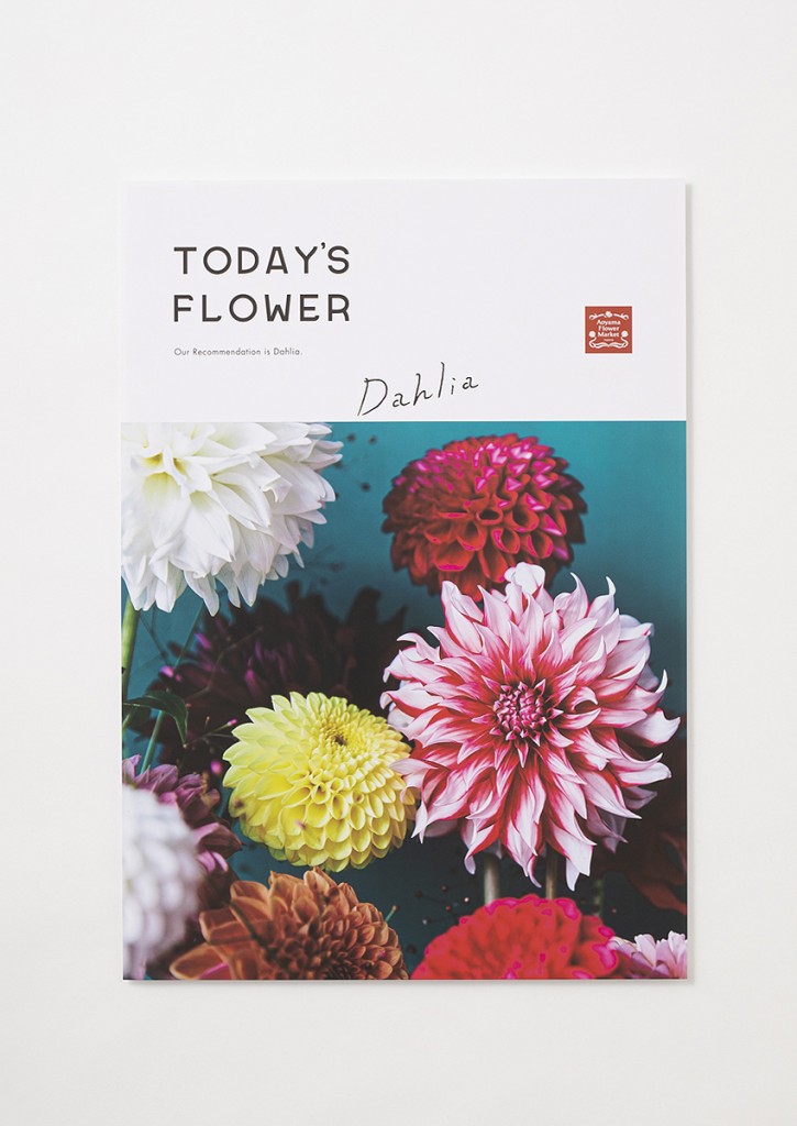 AFM TODAY’S FLOWER “Dahlia”