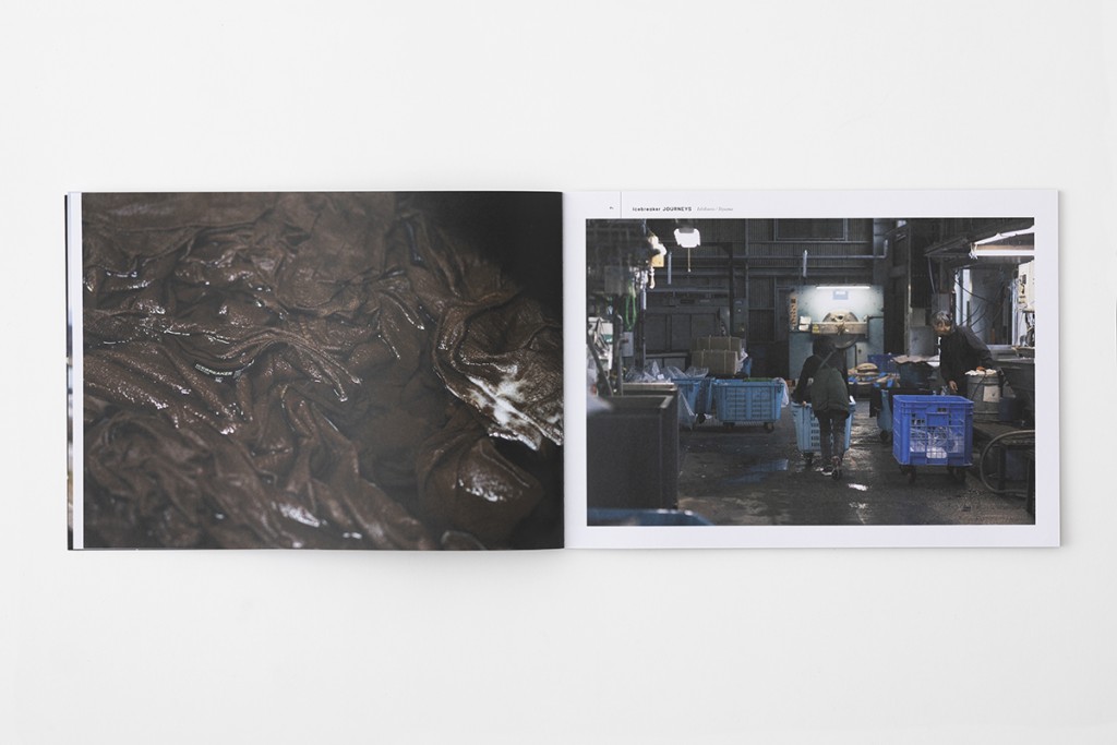 LOOK BOOK for ICEBREAKER Other Image