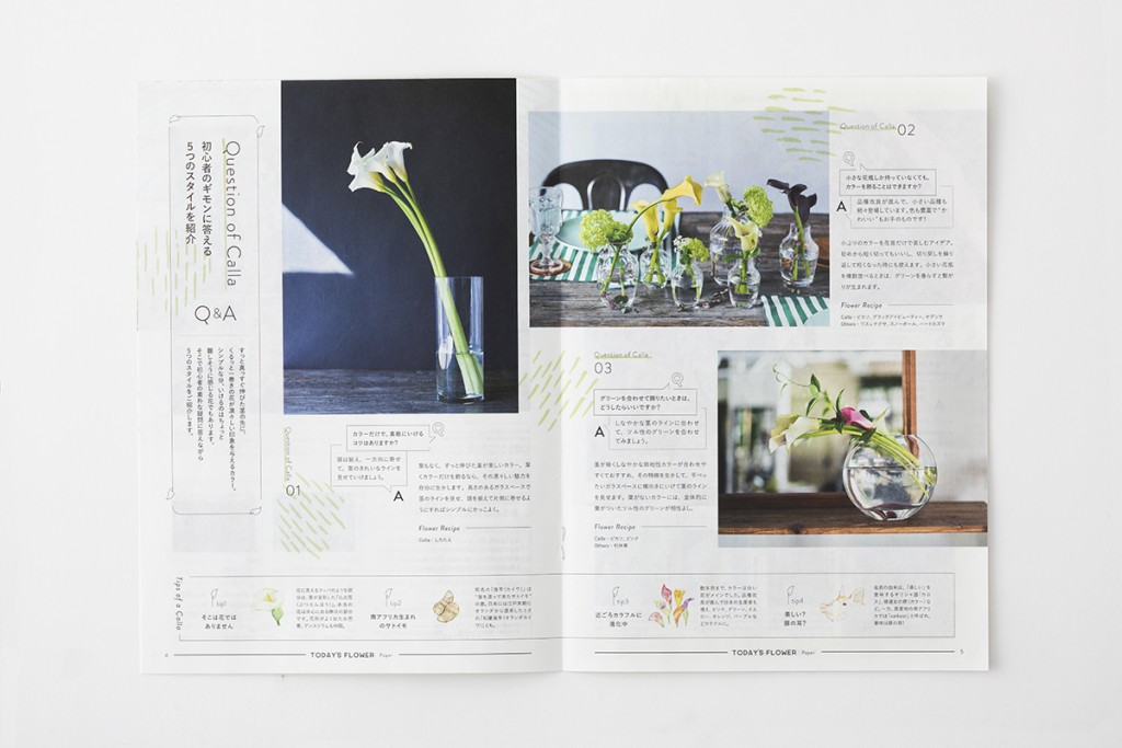 AFM TODAY’S FLOWER “Calla” Other Image