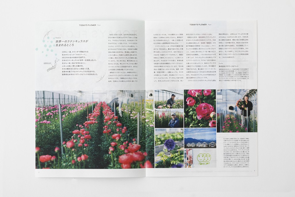 AFM TODAY’S FLOWER “Ranunculus” Other Image