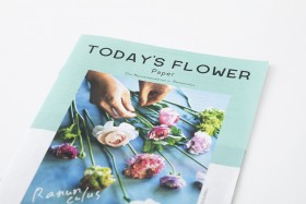 AFM TODAY’S FLOWER “Ranunculus”