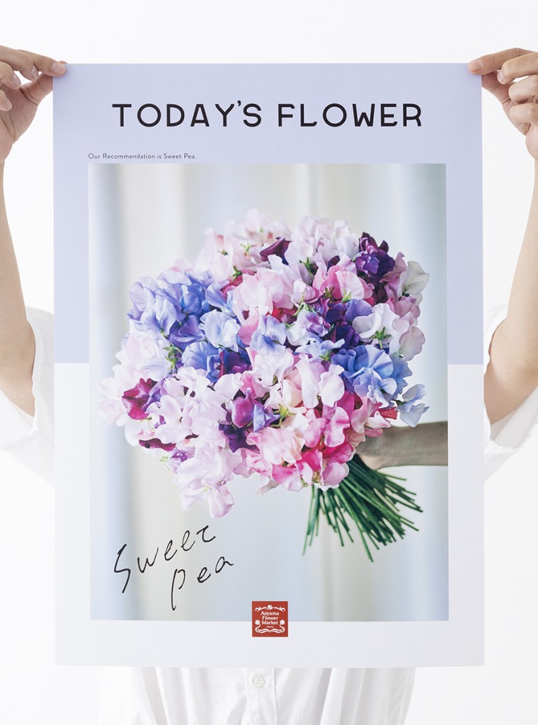 AFM TODAY’S FLOWER “Sweet Pea” Other Image