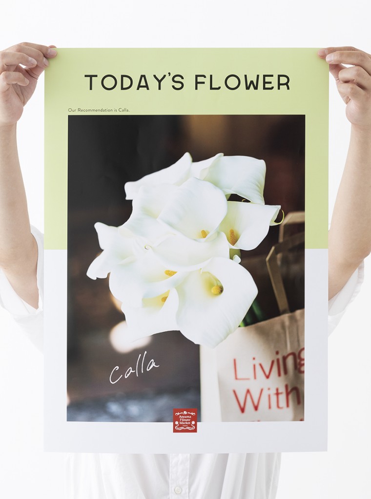 AFM TODAY’S FLOWER “Calla” Other Image