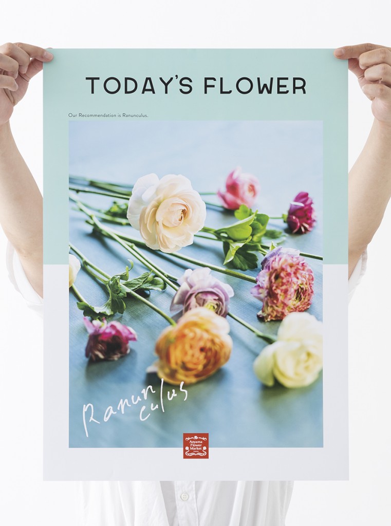 AFM TODAY’S FLOWER “Ranunculus” Other Image