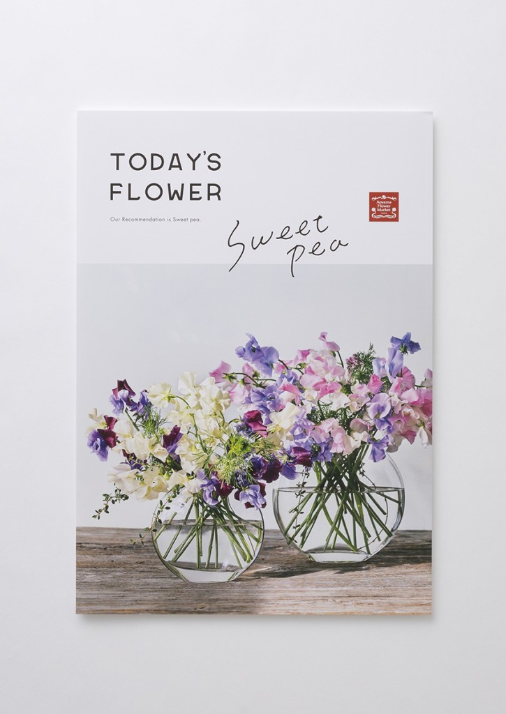 AFM TODAY’S FLOWER “Sweetpea” Other Image