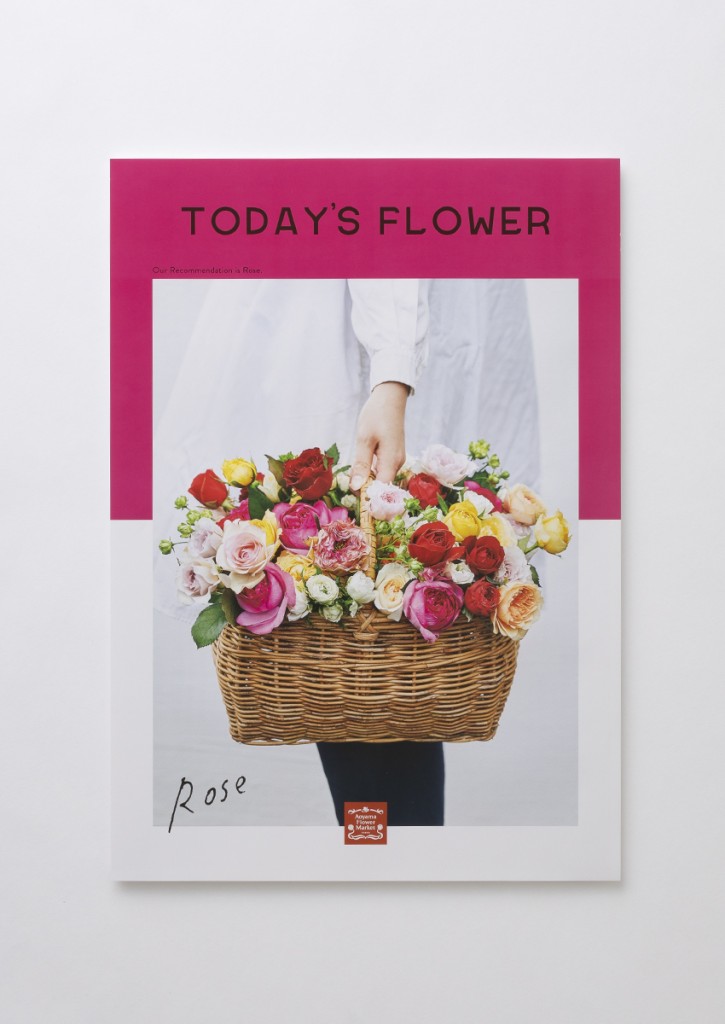 AFM TODAY’S FLOWER “Rose” Other Image