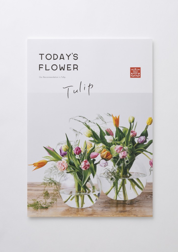 AFM TODAY’S FLOWER “Tulip” Other Image