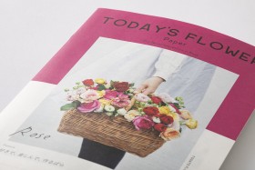 AFM TODAY’S FLOWER “Rose”