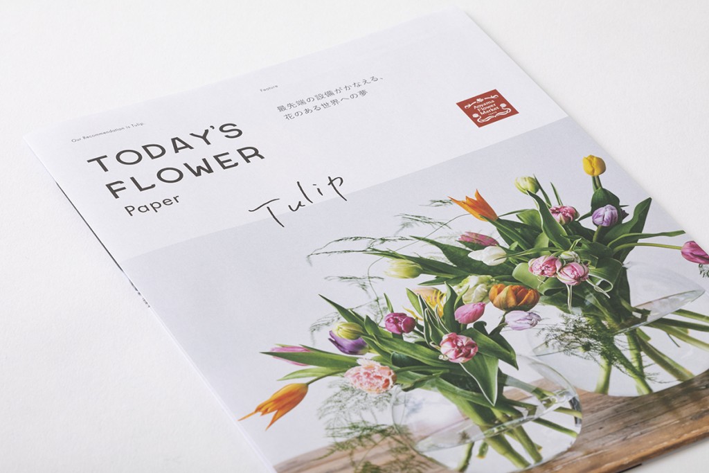 AFM TODAY’S FLOWER “Tulip”