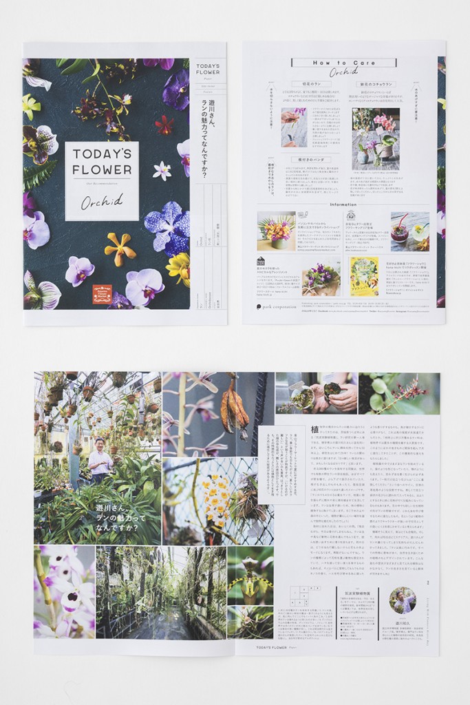 Orchid TODAY’S FLOWER BOOKLET and POSTER for Aoyama Flower Market Other Image