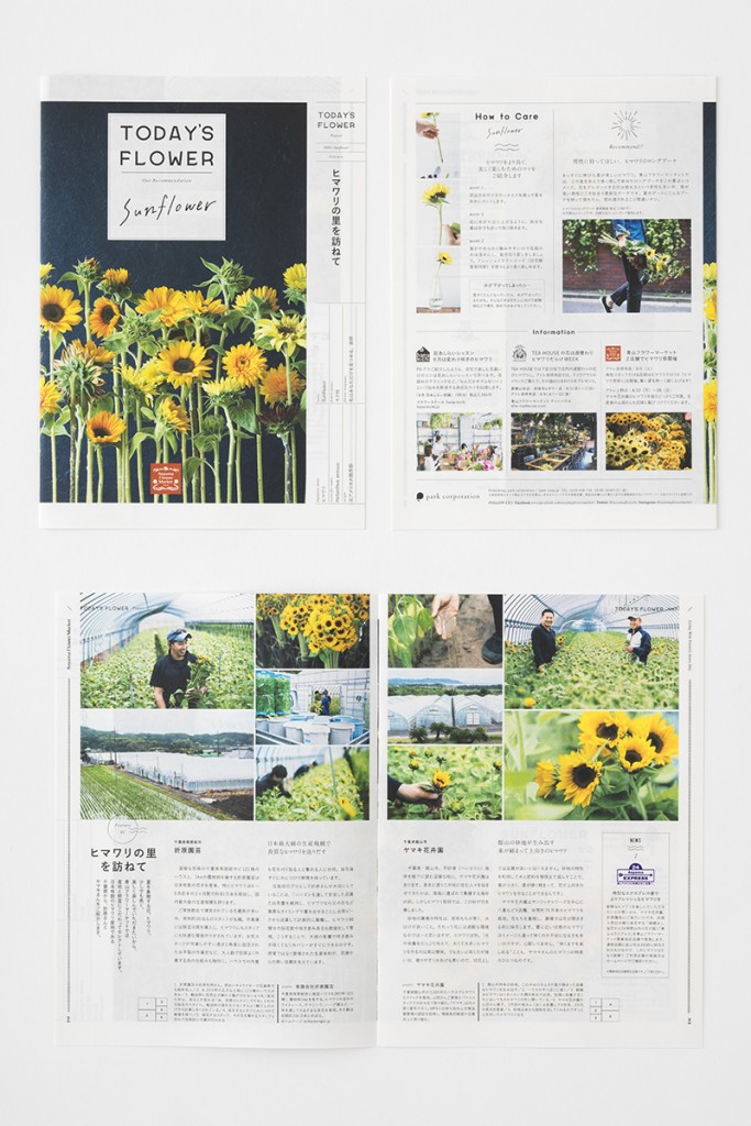 Sunflower TODAY’S FLOWER BOOKLET and POSTER for Aoyama Flower Market