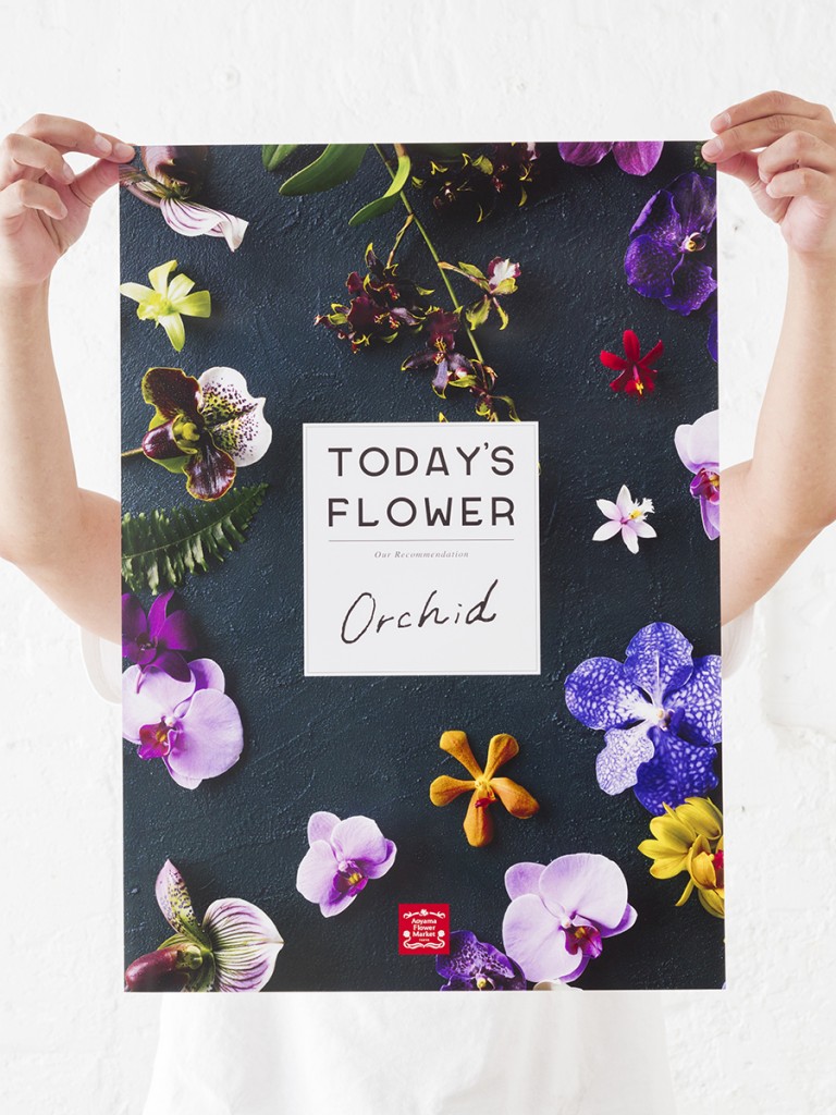 Orchid TODAY’S FLOWER BOOKLET and POSTER for Aoyama Flower Market