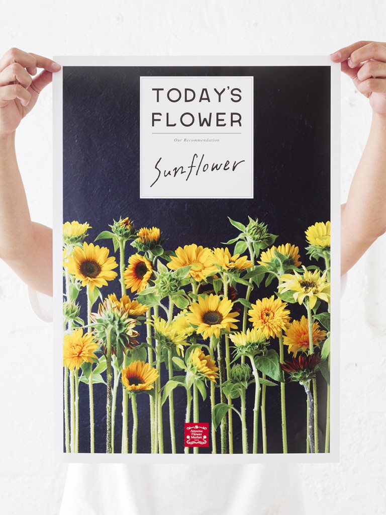 Sunflower TODAY’S FLOWER BOOKLET and POSTER for Aoyama Flower Market Other Image