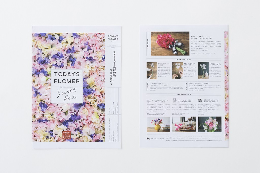 SWEET PEA TODAY’S FLOWER BOOKLET and POSTER Other Image