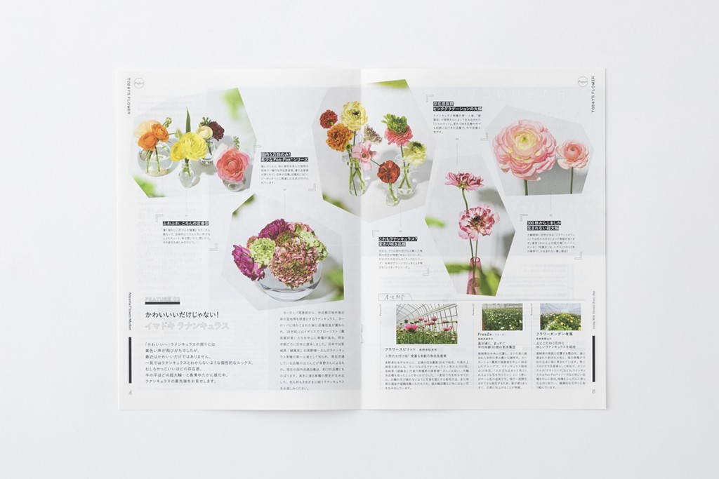 RANUNCULUS TODAY’S FLOWER BOOKLET and POSTER Other Image