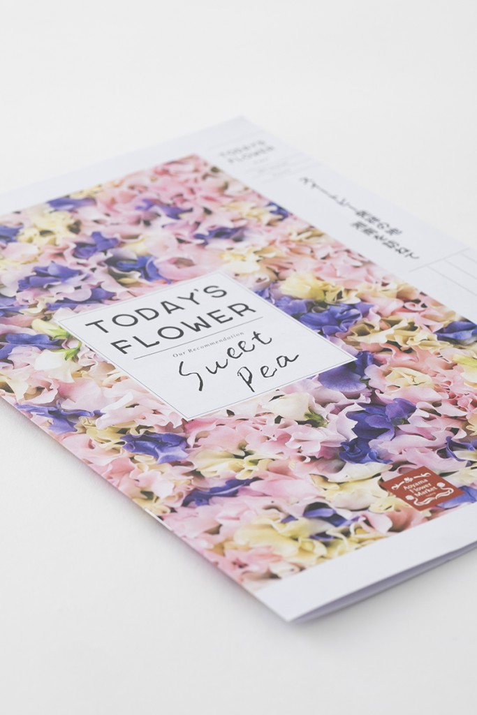 SWEET PEA TODAY’S FLOWER BOOKLET and POSTER