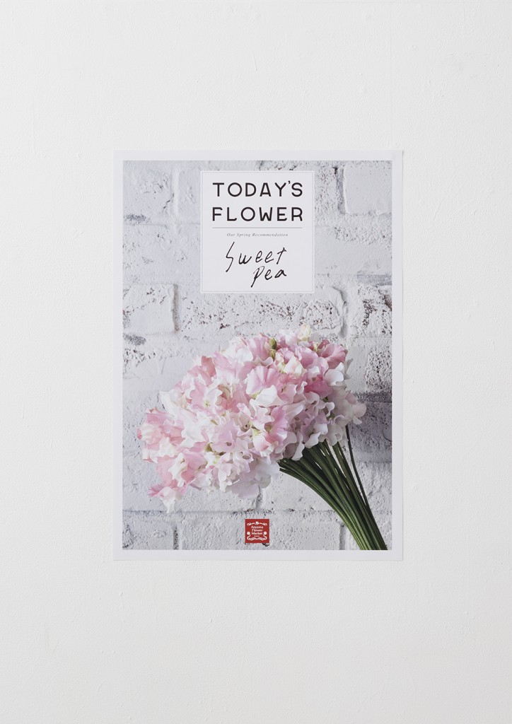 TODAY’S FLOWER SERIES for AOYAMA FLOWER MARKET Other Image