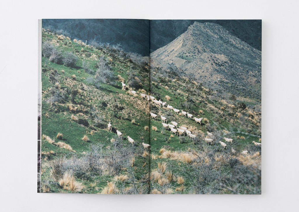 ICEBREAKER Ethical Wool Other Image