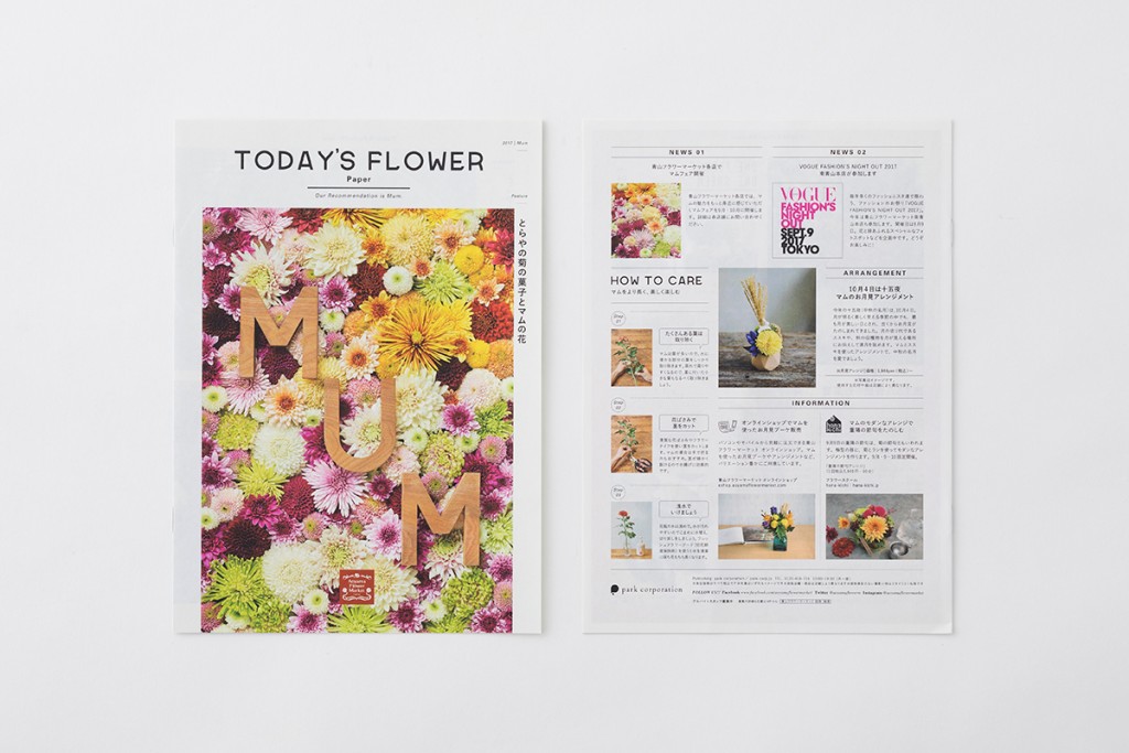 AFM TODAY’S FLOWER “MUM” Other Image