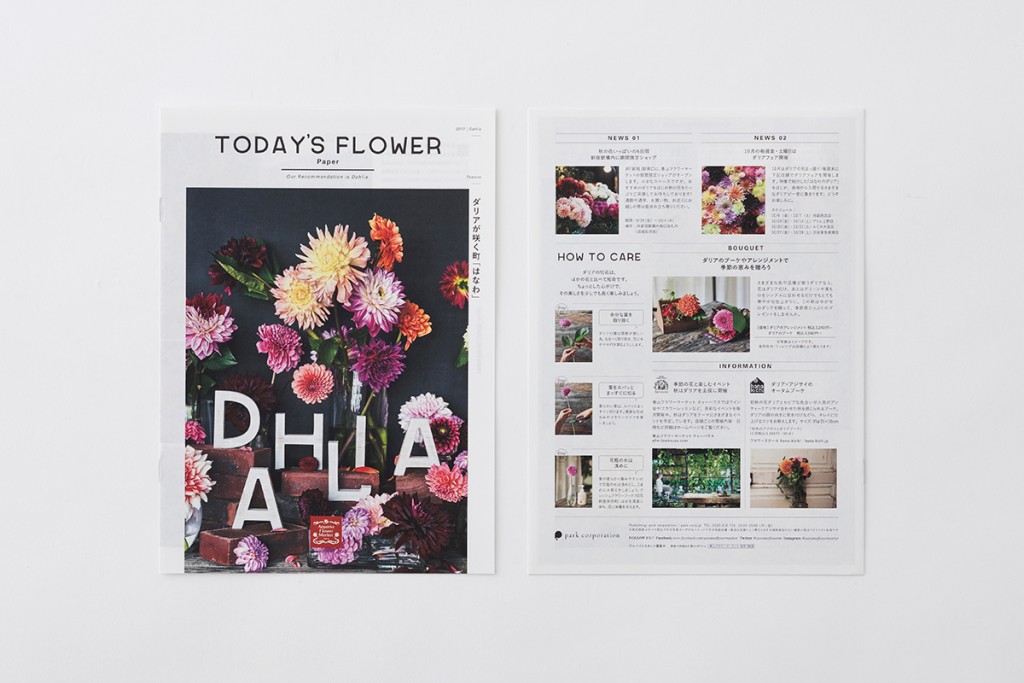 AFM TODAY’S FLOWER “DAHLIA” Other Image