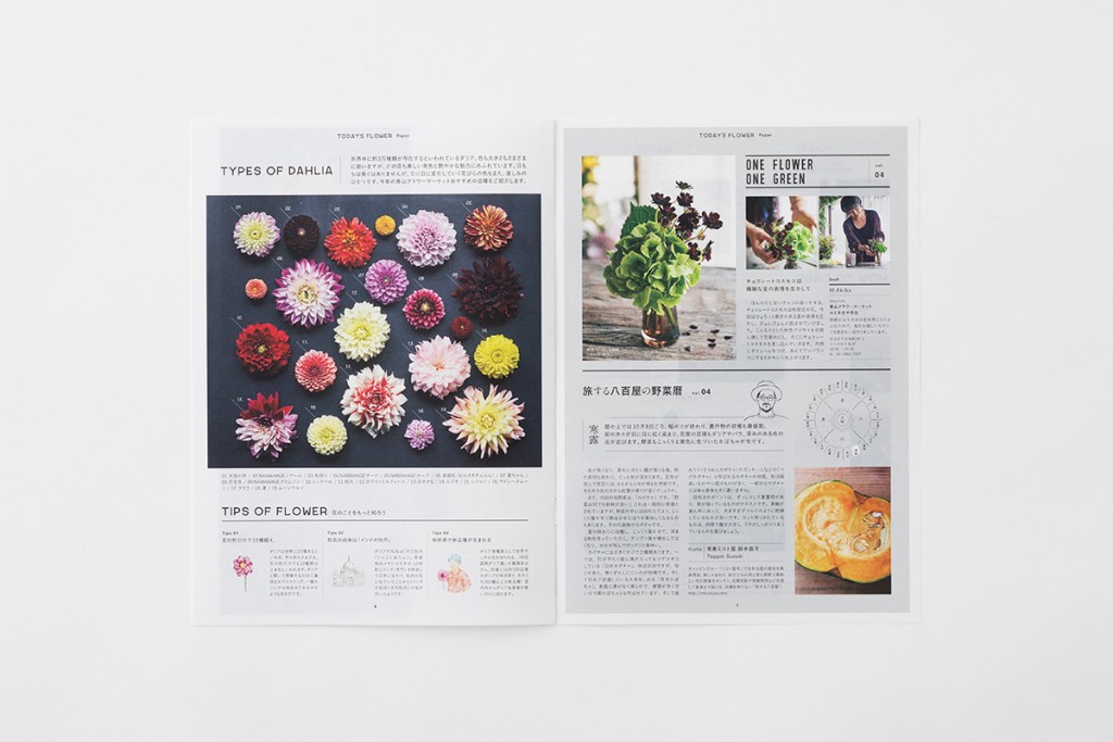 AFM TODAY’S FLOWER “DAHLIA” Other Image