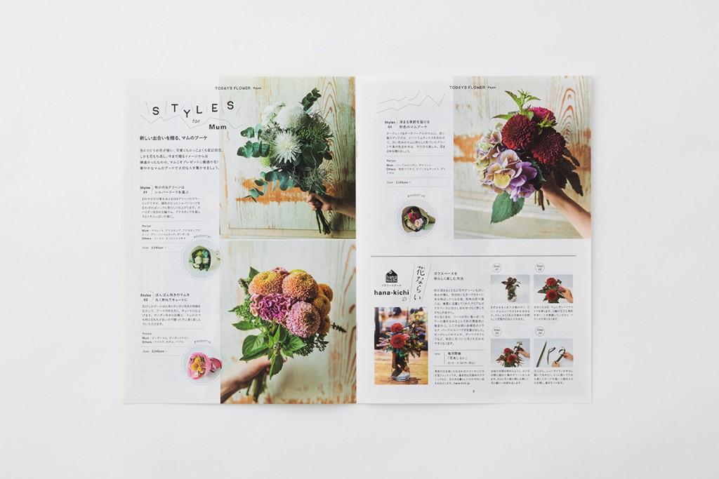 AFM TODAY’S FLOWER “MUM” Other Image