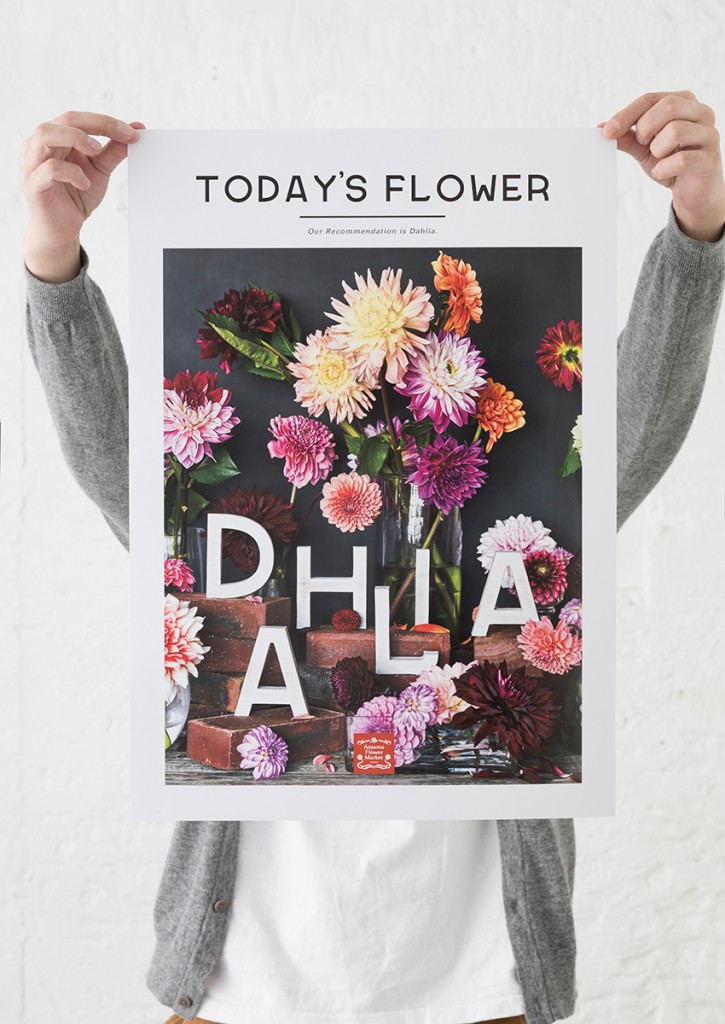 AFM TODAY’S FLOWER “DAHLIA” Other Image