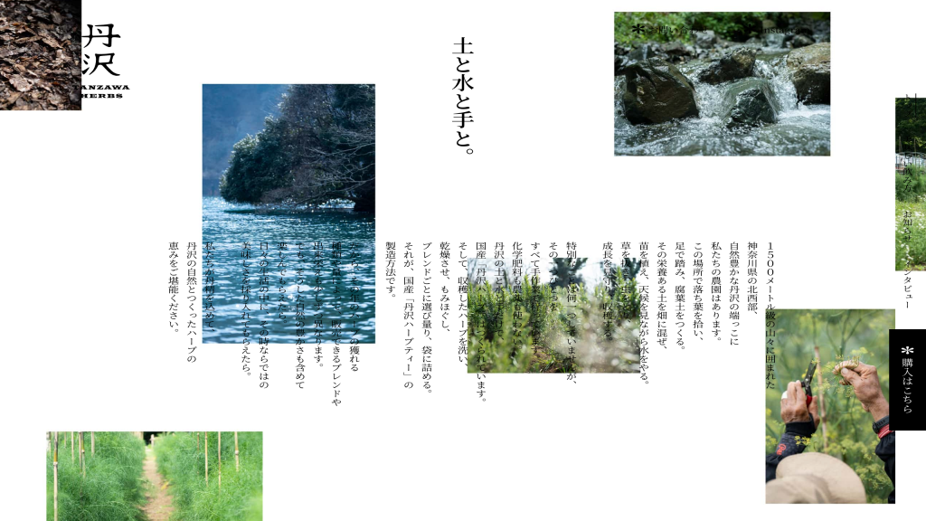 TANZAWA HERBS Other Image