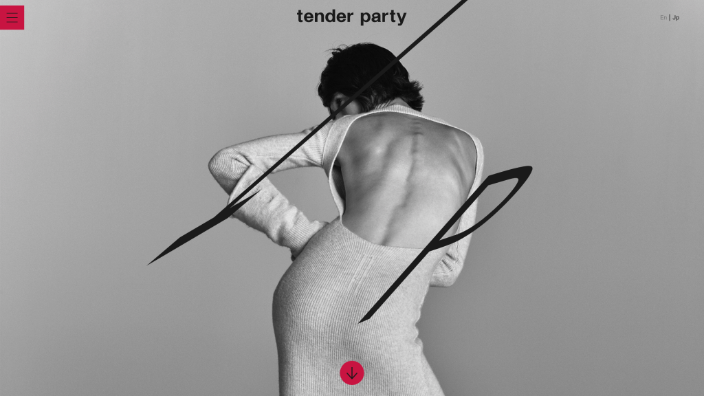 WEB DESIGN FOR TENDER PARTY