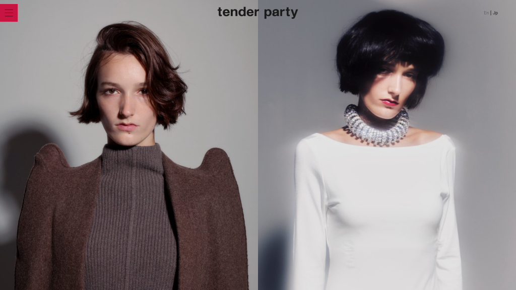 WEB DESIGN FOR TENDER PARTY Other Image