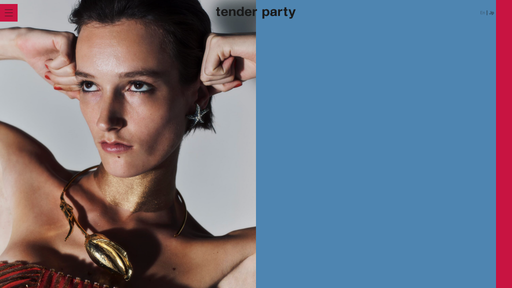 WEB DESIGN FOR TENDER PARTY Other Image