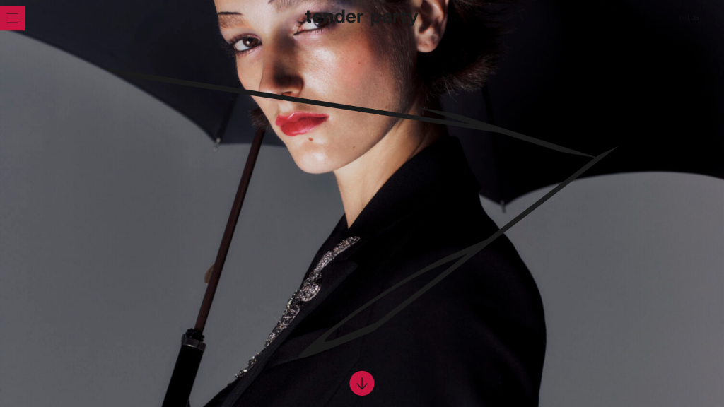 WEB DESIGN FOR TENDER PARTY Other Image
