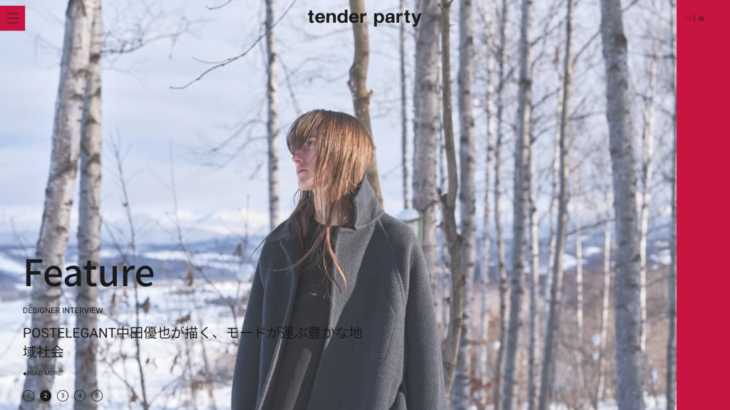 WEB DESIGN FOR TENDER PARTY Other Image