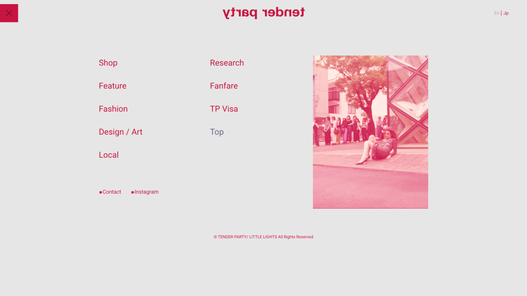WEB DESIGN FOR TENDER PARTY Other Image