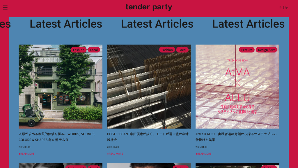 WEB DESIGN FOR TENDER PARTY Other Image
