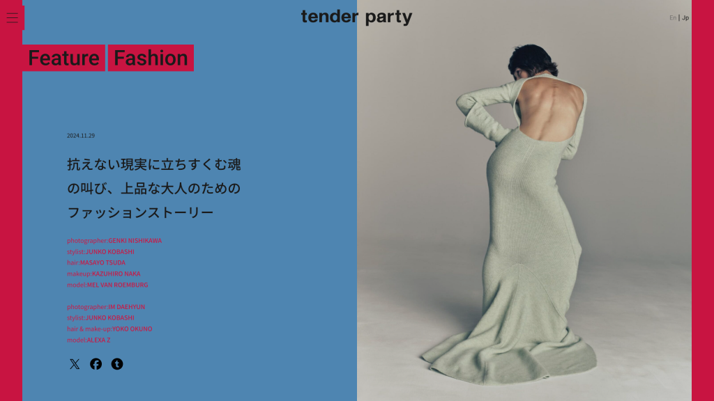 WEB DESIGN FOR TENDER PARTY Other Image