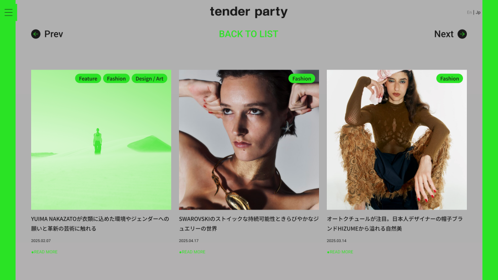 WEB DESIGN FOR TENDER PARTY Other Image
