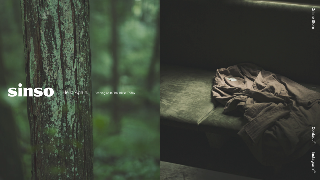 WEB DESIGN FOR SINSO