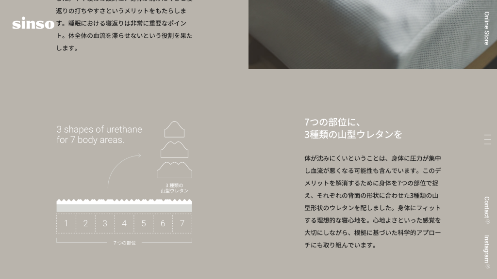 WEB DESIGN FOR SINSO Other Image