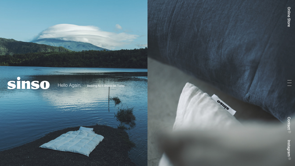 WEB DESIGN FOR SINSO Other Image