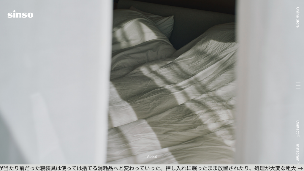 WEB DESIGN FOR SINSO Other Image