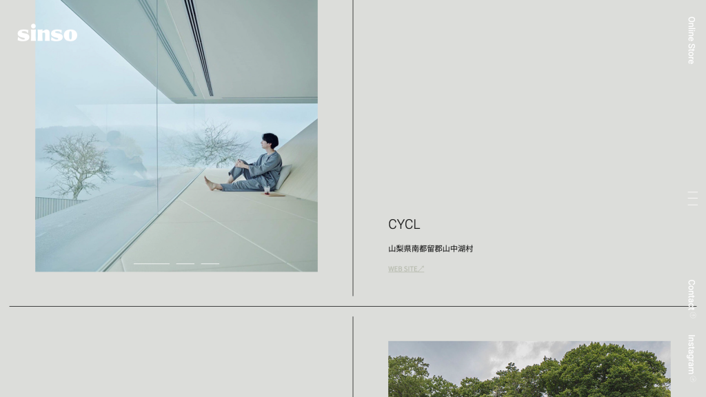 WEB DESIGN FOR SINSO Other Image