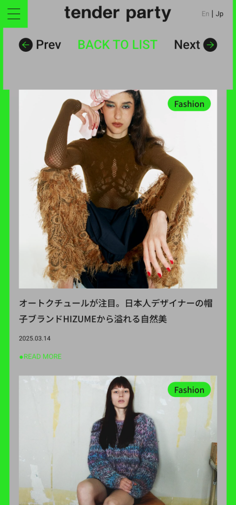 WEB DESIGN FOR TENDER PARTY Other Image