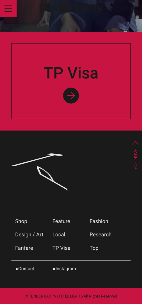 WEB DESIGN FOR TENDER PARTY Other Image