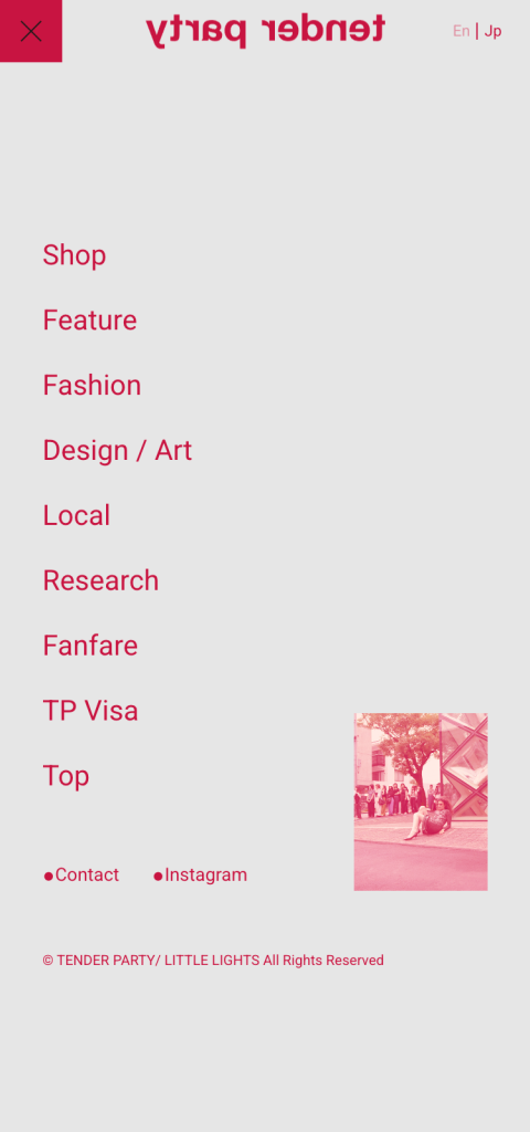 WEB DESIGN FOR TENDER PARTY Other Image