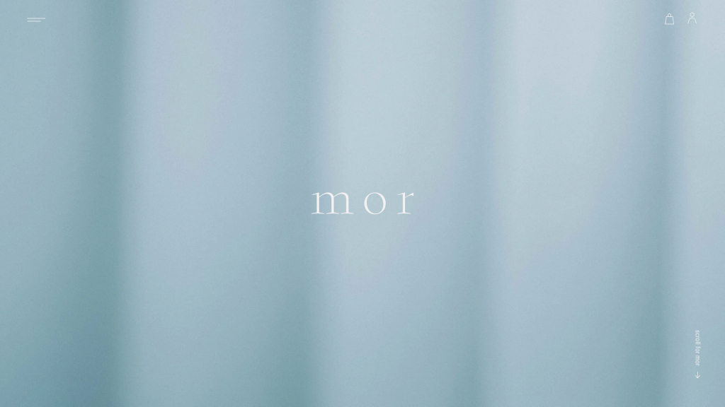 WEB DESIGN FOR MOR